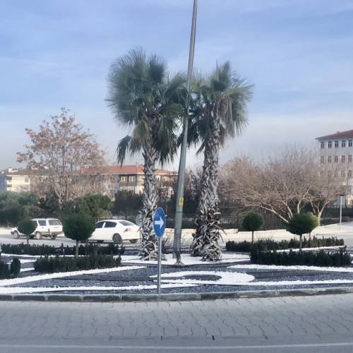Kavşak Peyzaj Çalışmaları